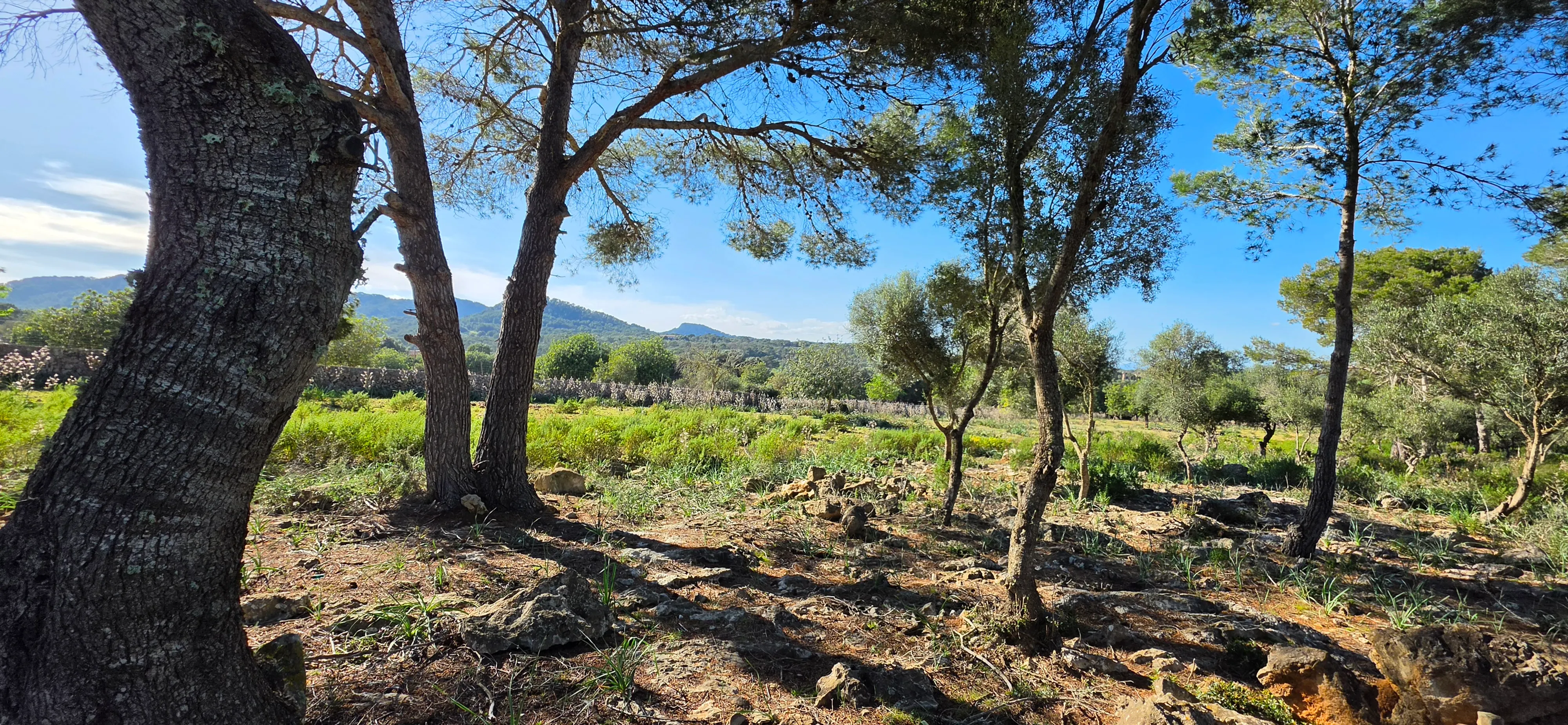 Amplio terreno en venta con permiso concedido