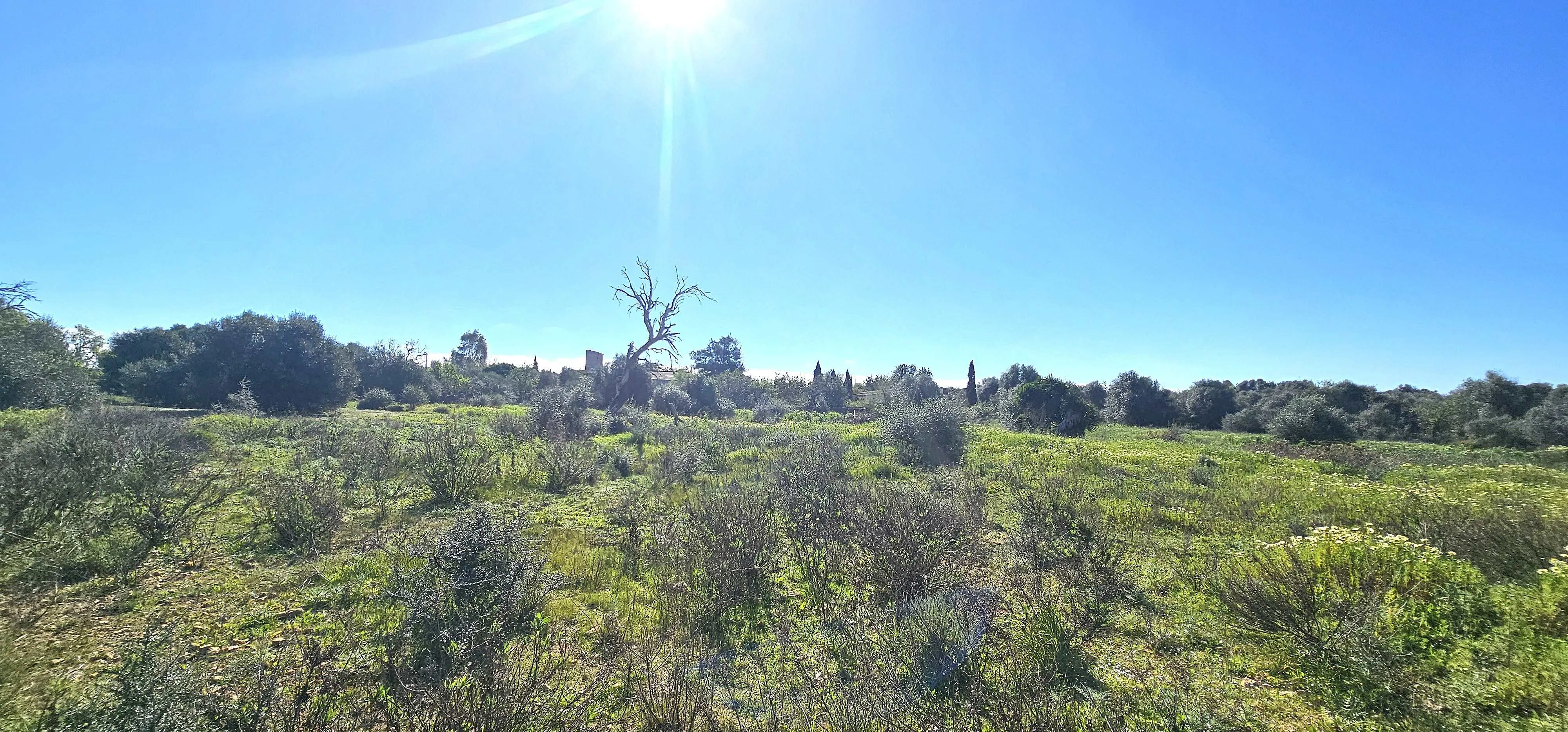 Countryside Finca Plot | Building Licence Ready | Mallorca